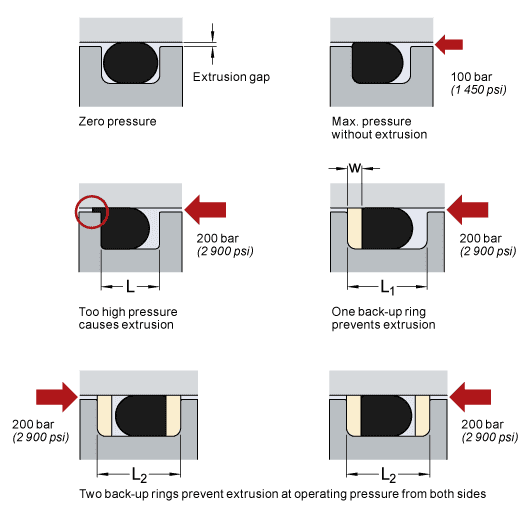 Orings and backup rings